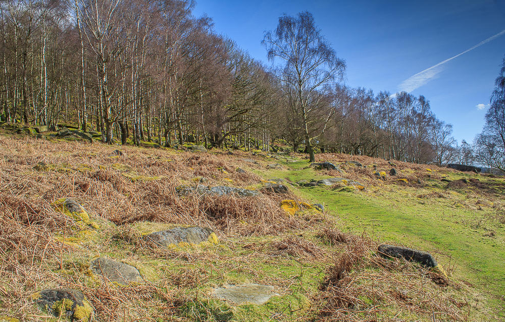 Gardom's Edge